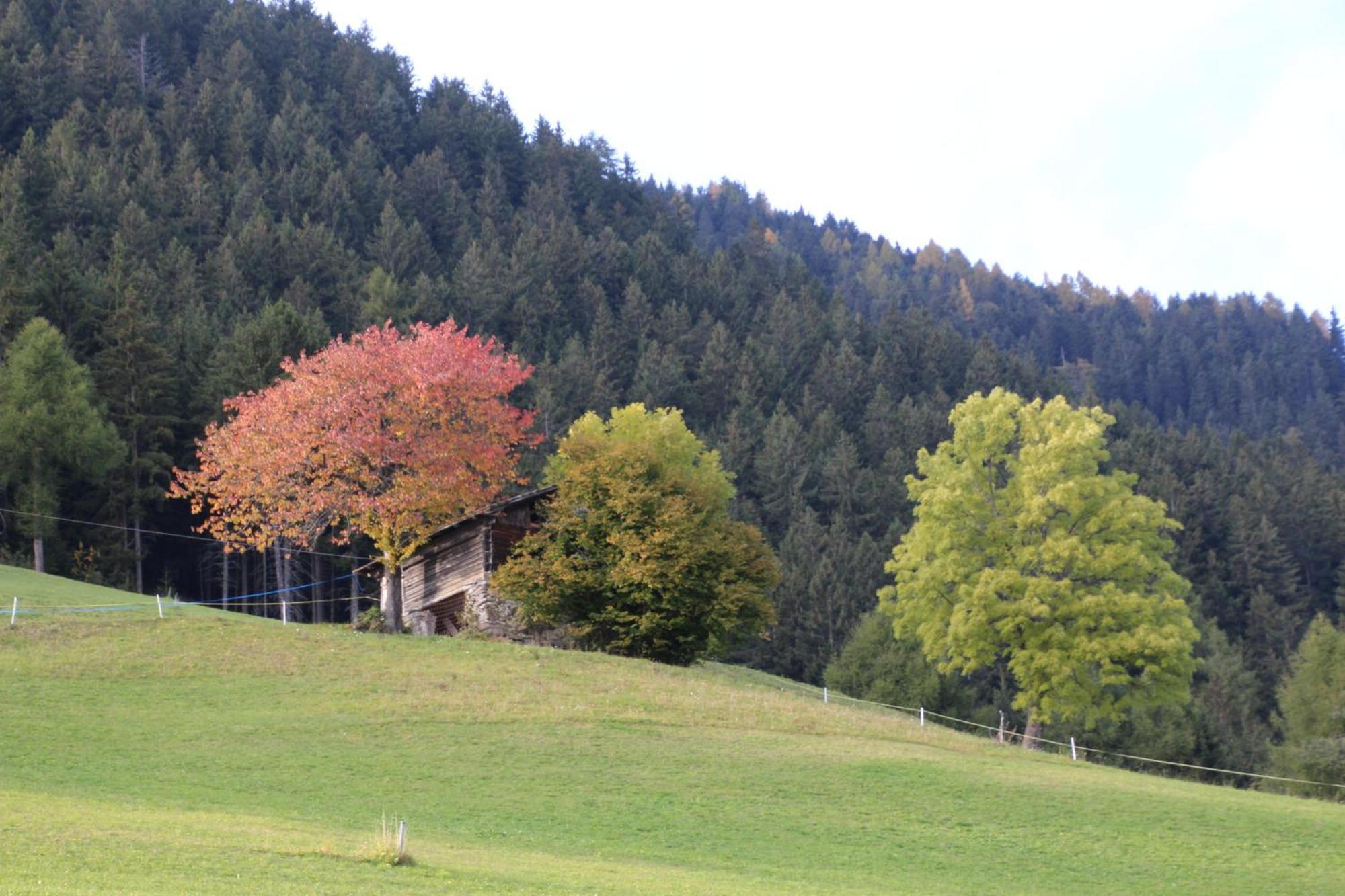 Gasthof Walde Рифиано Екстериор снимка